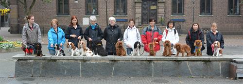 DSC_4711a DSC_4711a