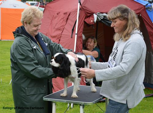 DSC_3419a DSC_3419a