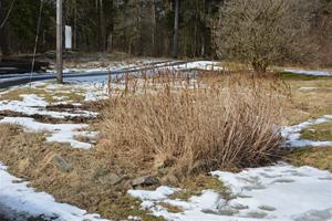 Förebilder (10)