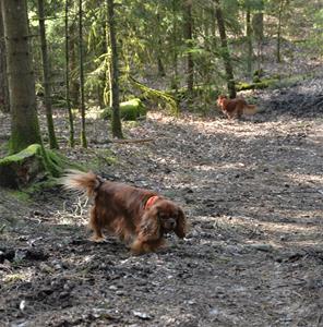 DSC_0119 (2)