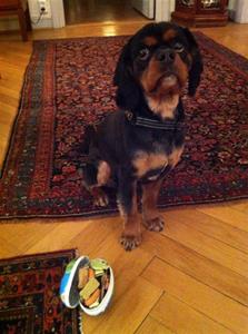 Oskar på dagis