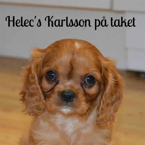 Helec's Karlsson på taket