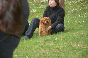 Cavalierpromenad i Borås 12/5-13