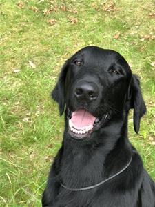 Xavi 2 år 8 mån Xavi 2 år 8 mån