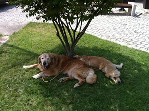 bild(59) bild(59)