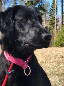 Irma 1 år Irma 1 år