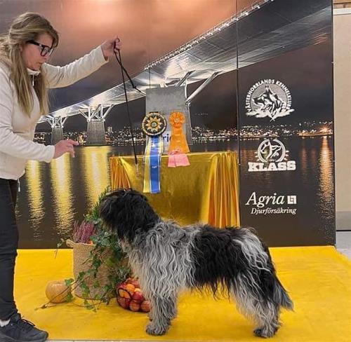 Daisy3BTSundsvall20230810
