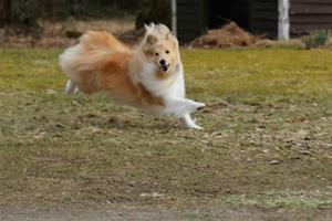 Daisy i full fart