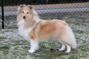 Daisy 2018-01-13