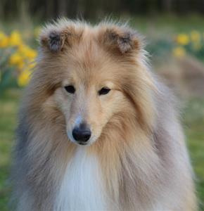 Daisy 2020-05-05