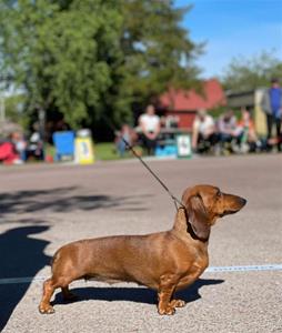 Freja1 Freja1