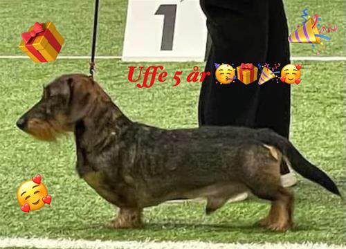 phonto