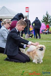 Første utstilling i Finland, Kotka 18.06.16