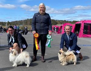 NKK Int Kristiansand 30.04.23. Dommer: Viktoría Jensdottir