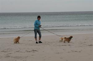 Meg og hunden på stranden - Kopi