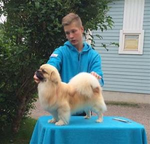 Niklas trener med Zaxon 24.06.16
