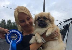 BM4 CERT Kuopio 06.08.16