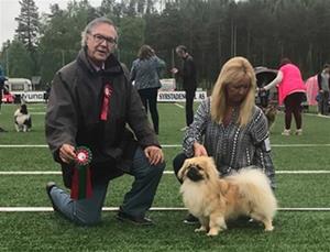 Norsk Utstillings Champion på Storås 26.05.18