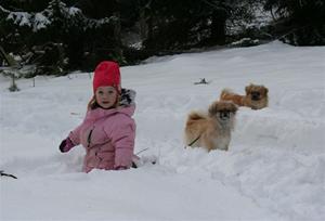 bilde 2012 1