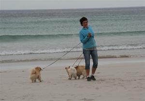 Meg og hundene på stranden (1140 x 760)