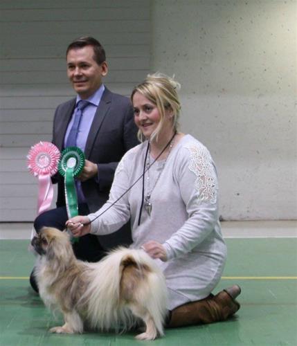 queen bim veteran dag 2