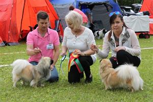 29 juni 2014 shiraz cert beste hann hund bim