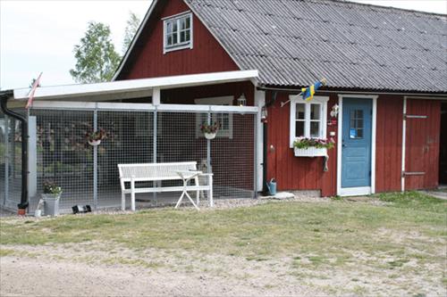 Framsidan av hundhuset Framsidan av hundhuset