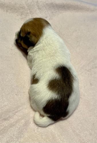 IMG_9177 IMG_9177