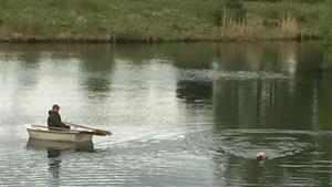 boat boat