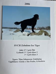 Vinnare 2006