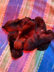 thumbnail_IMG_1745