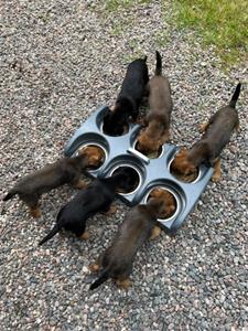 lunch ute lunch ute