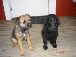 Lexie & Flash Lexie & Flash