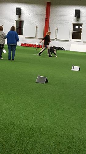 20190218_204856 20190218_204856