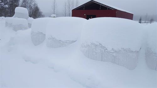 ensilagebollar vända ensilagebollar vända