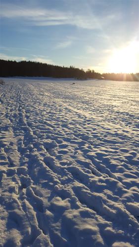 20190112_100627 20190112_100627