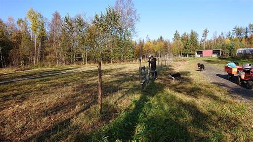 IMG_1832 IMG_1832