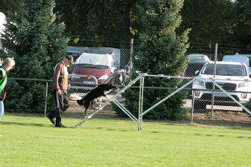 IMG_1812 IMG_1812