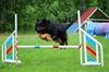 Resized_received_425062132840436