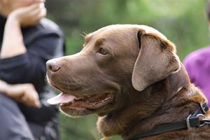 IMG_4867