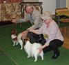 IMG_2523 (3)