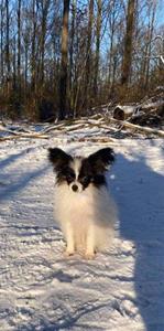 IMG_1991 IMG_1991