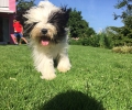 Stella_10months_kommer