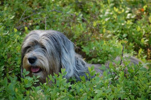 DSC_0446 DSC_0446