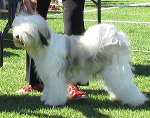 IMG_5614 IMG_5614