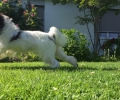 Stella_10months_busar