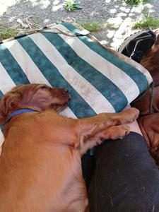 IMG_20200612_145658