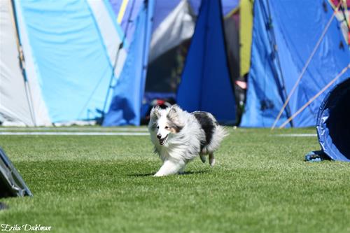 IMG_2871 IMG_2871