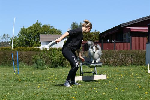 IMG_0577 IMG_0577