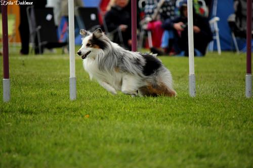 IMG_4471 IMG_4471